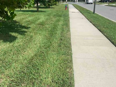 Lawn Care service in Eustis, 32726