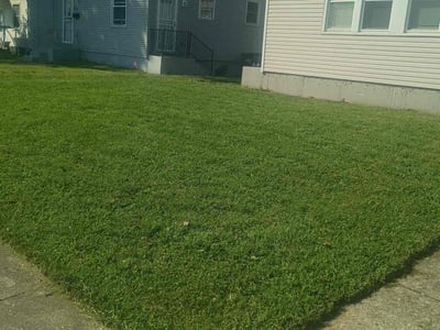 Lawn Care service in Vandalia, 45377