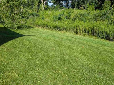 Lawn Care service in Cottage Grove, 55016