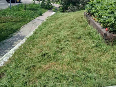 Lawn Care service in Zimmerman, 55398
