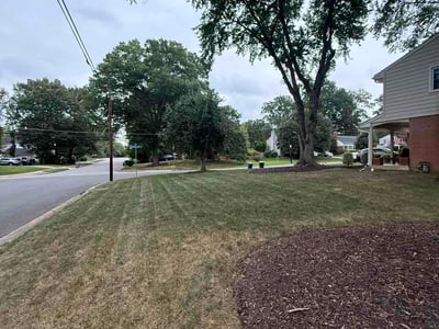 Lawn Care service in Warrenton, 20186