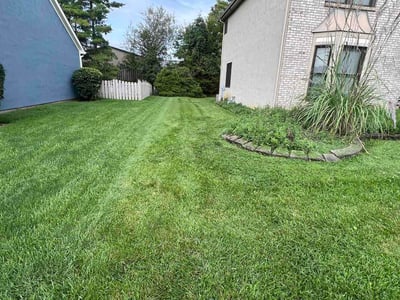 Lawn Care service in Powell, 43065