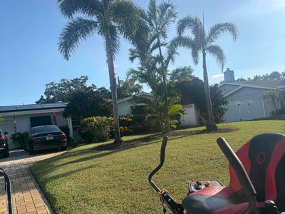 Lawn Care service in Clearwater, 33755