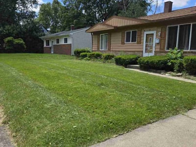 Lawn Care service in Lansing, 48933