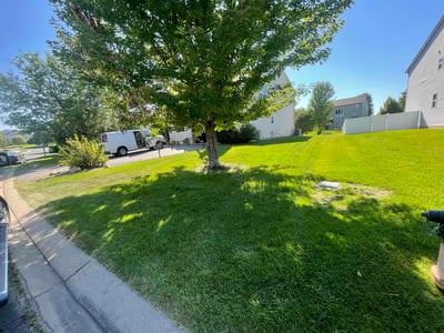 Lawn Care service in Shakopee, 55379