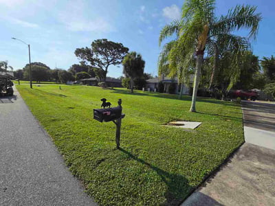 Lawn Care service in Mims, 32754