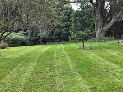Lawn Care service in North Haven, 06473