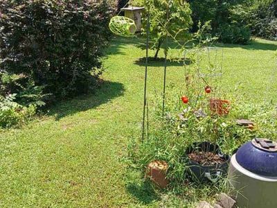 Lawn Care service in College Park, 30337