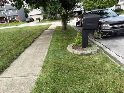 Lawn Care service in Lewis Center, 43035