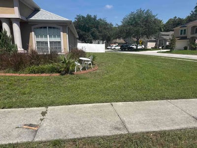Lawn Care service in Brandon, 33511
