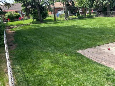 Lawn Care service in Warren, 48093