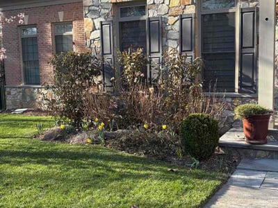 Lawn Care service in Reston, 20190