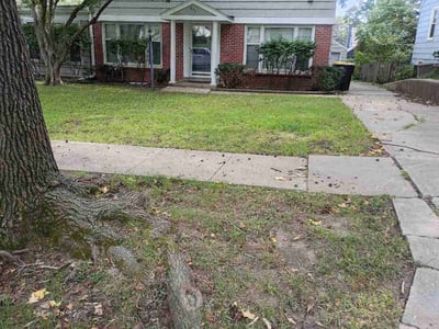 Lawn Care service in Excelsior Springs, 64024