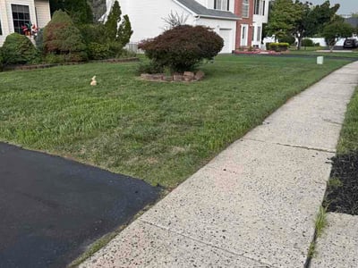 Lawn Care service in Princeton, 08542