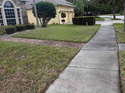 Lawn Care service in Pine Hills, 32808