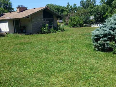 Lawn Care service in Eagan, 55123