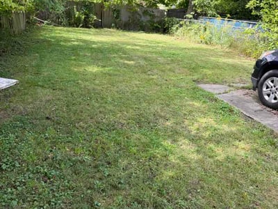 Lawn Care service in Mason, 48854