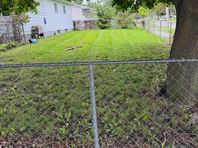 Lawn Care service in Mason, 48854