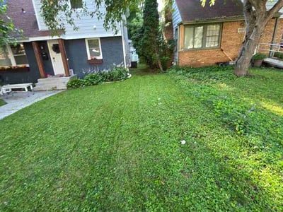Lawn Care service in Brooklyn Center, 55429