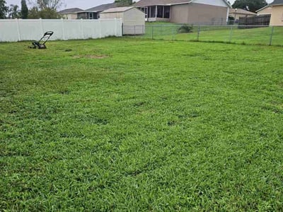 Lawn Care service in Winter Haven, 33881