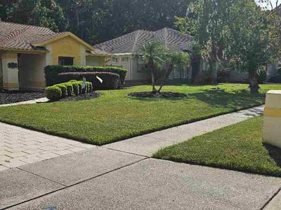 Lawn Care service in Longwood, 32750