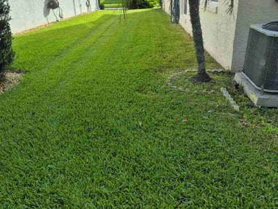 Lawn Care service in Winter Springs, 32708