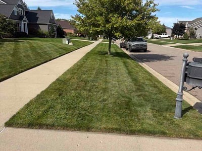Lawn Care service in Grand Ledge, 48837