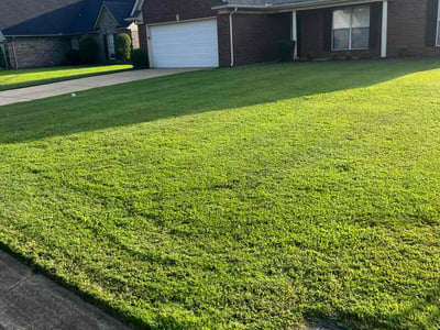 Lawn Care service in Marshfield, 02050