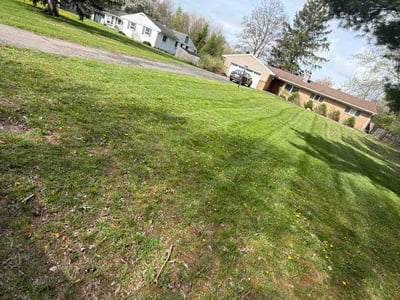 Lawn Care service in Grand Ledge, 48837