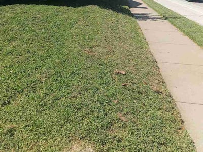 Lawn Care service in Collinsville, 74021