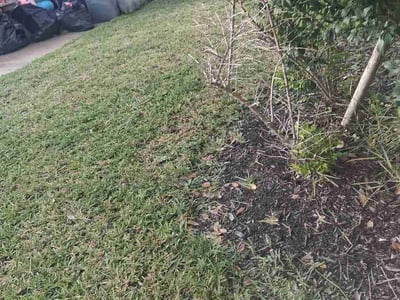 Lawn Care service in Davenport, 33837