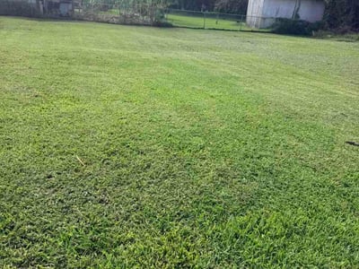 Lawn Care service in Miami, 33132