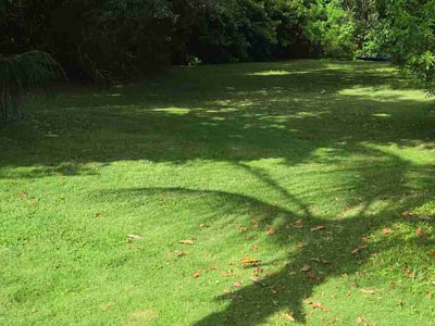 Lawn Care service in Miami, 33132