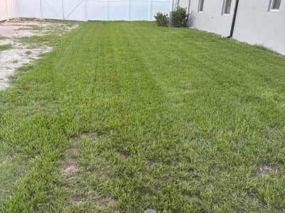 Lawn Care service in Apollo Beach, 33572