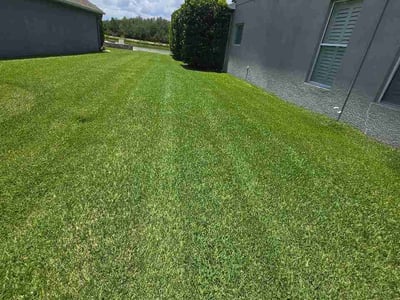 Lawn Care service in Apollo Beach, 33572