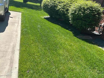 Lawn Care service in Clinton Township, 48036
