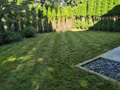 Lawn Care service in Greenville, 48838