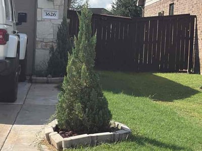 Lawn Care service in Rosharon, 77583