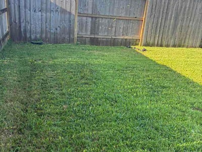 Lawn Care service in Rosharon, 77583