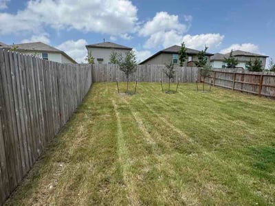 Lawn Care service in Shavano Park, 78231