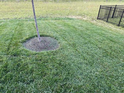 Lawn Care service in Westfield, 46074