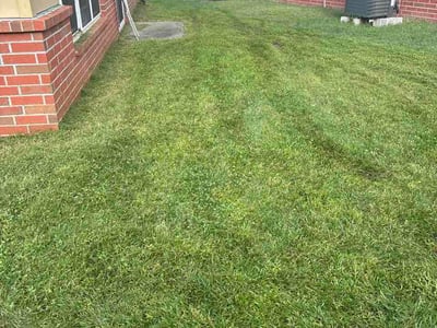 Lawn Care service in Brigham City, 84302