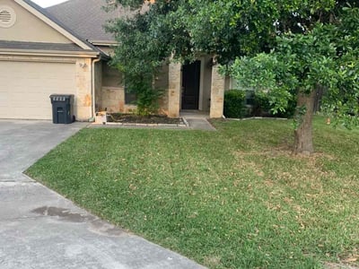 Lawn Care service in Selma, 78154