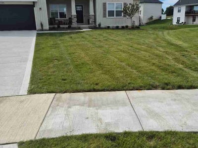 Lawn Care service in Comstock Park, 49321