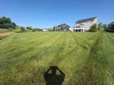 Lawn Care service in Comstock Park, 49321