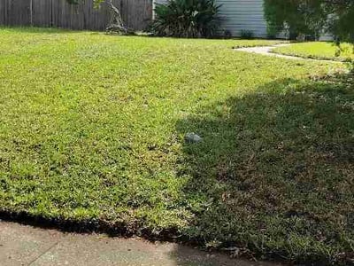 Lawn Care service in Casselberry, 32707