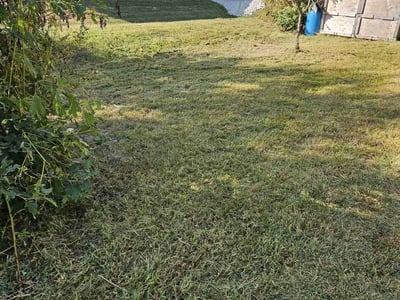 Lawn Care service in Ozark, 65721