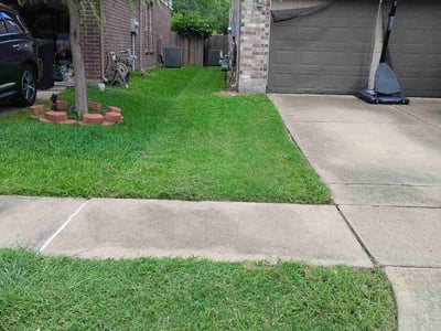 Lawn Care service in Montgomery, 77316