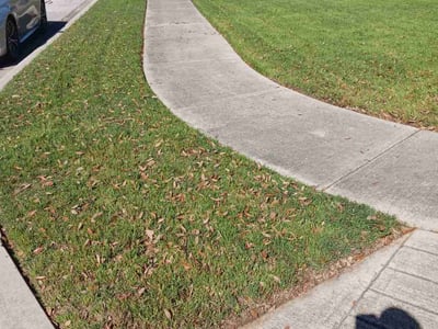 Lawn Care service in La Vernia, 78121