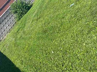 Lawn Care service in Waterford, 48329